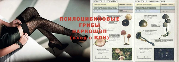 COCAINE Медвежьегорск