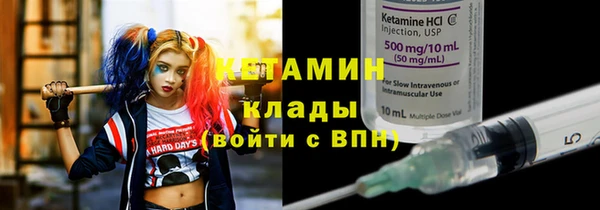 прущие грибы Белая Холуница