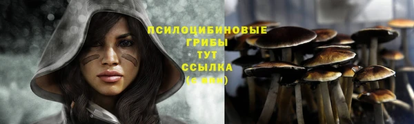 кокаин премиум Медногорск