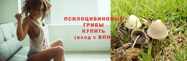 шишки Ступино