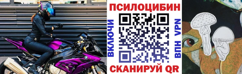 Галлюциногенные грибы Psilocybine cubensis  где продают наркотики  Холм 